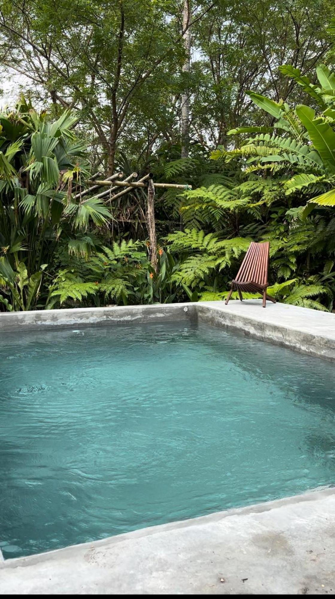 Habitacion Dentro Kaabna Spa ビジャエルモッサ エクステリア 写真